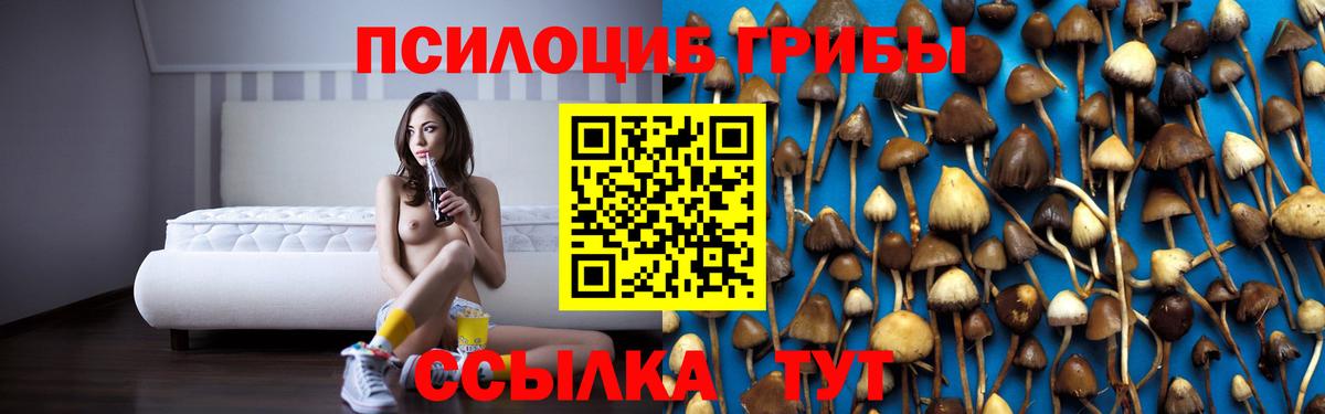 Галлюциногенные грибы мухоморы Касимов